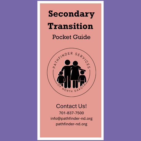 Secondary Transition Pocket Guide
