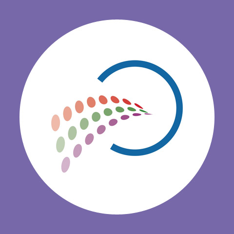 The National Center on Universal Design for Learning at CAST